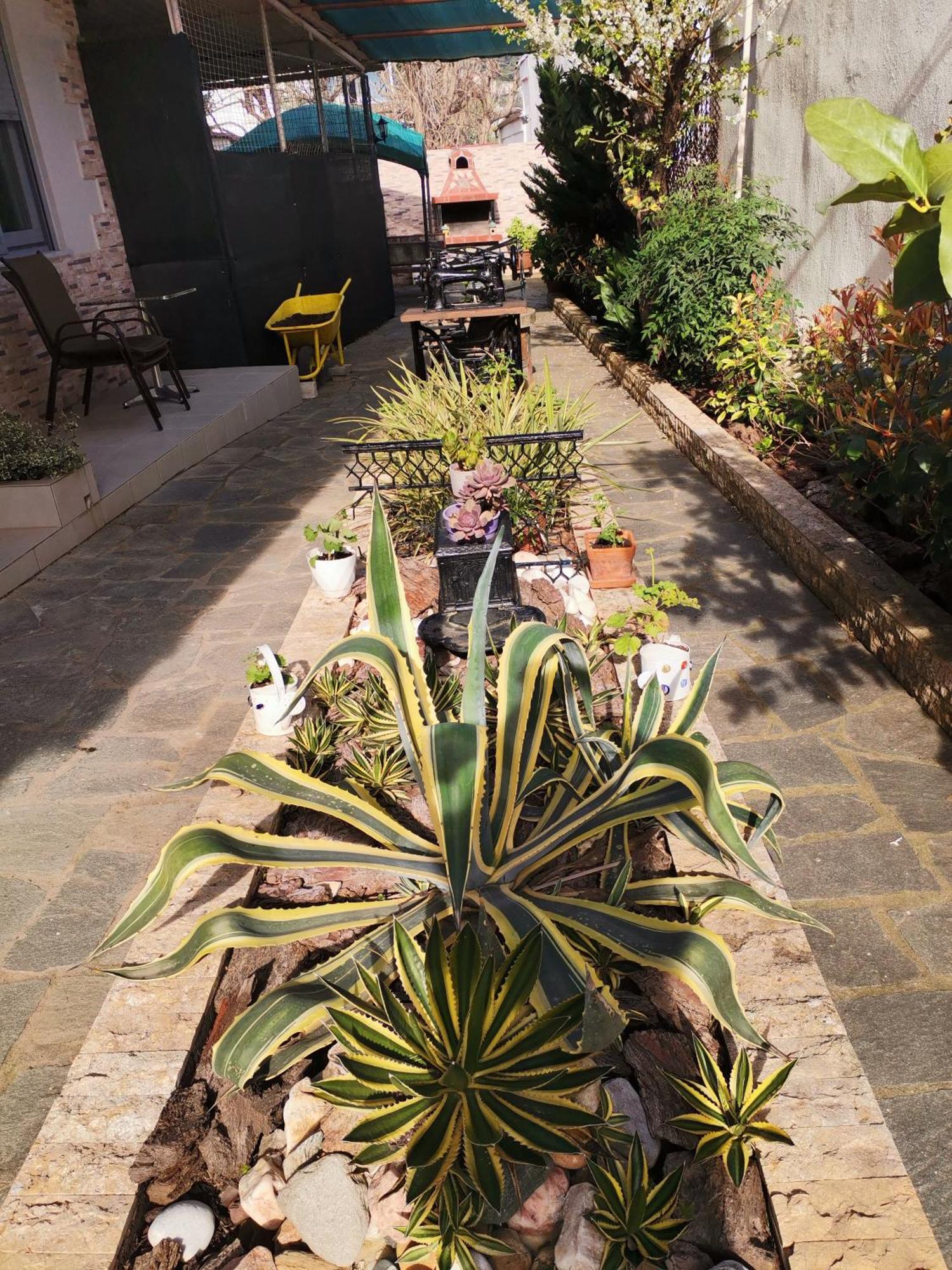 Studios Lia Adults Only -Fully Renovated Chrisi Ammoudia Exterior foto