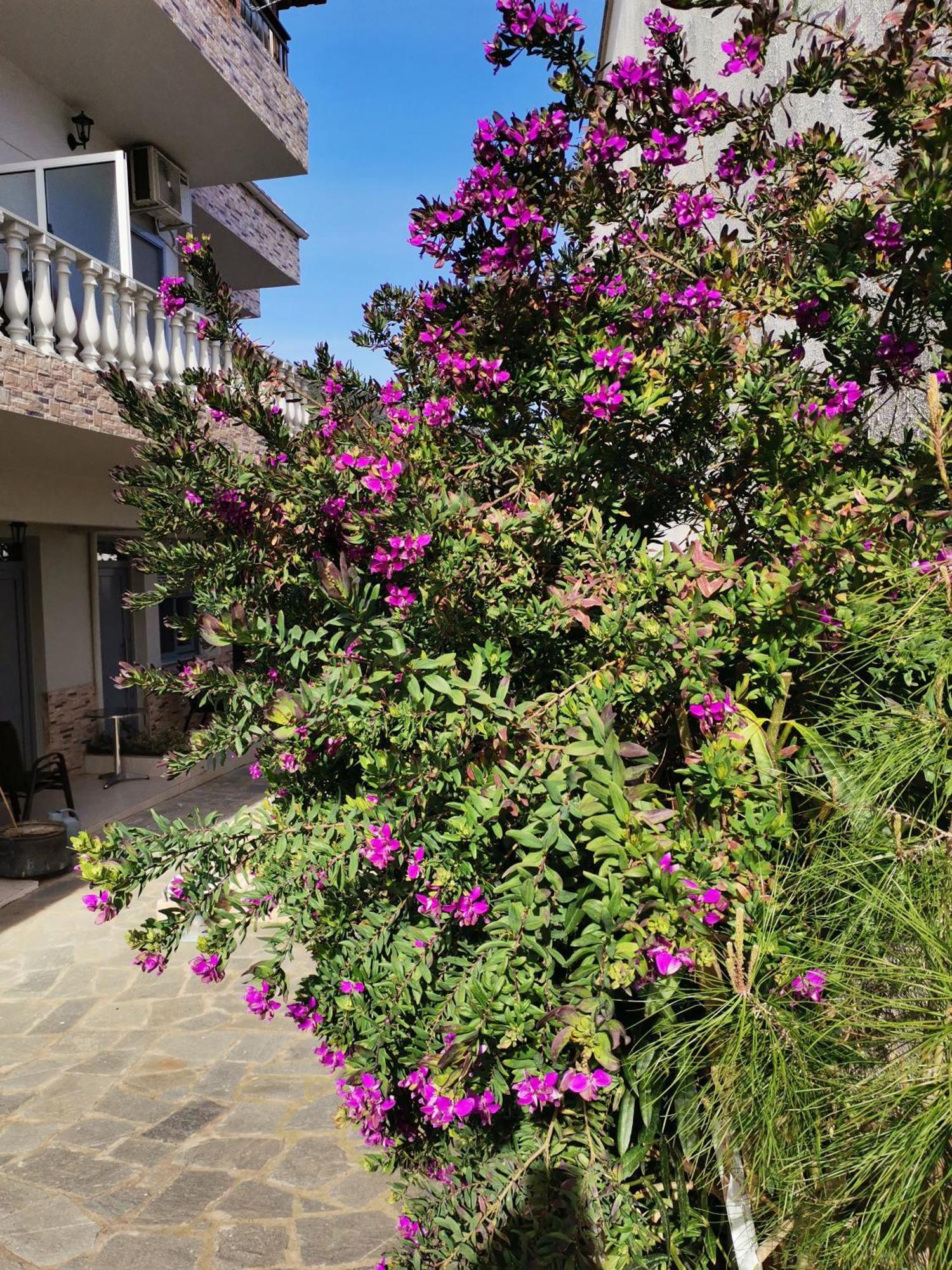 Studios Lia Adults Only -Fully Renovated Chrisi Ammoudia Exterior foto